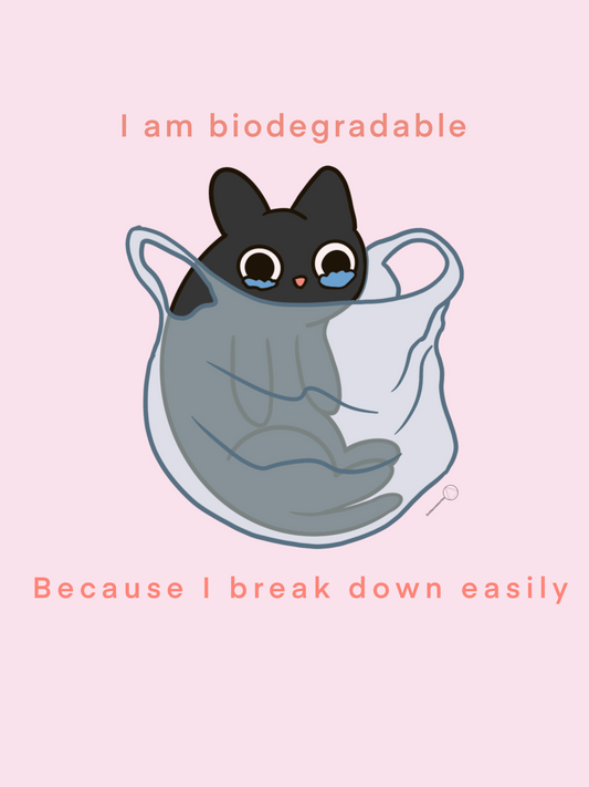 biodegradable cat